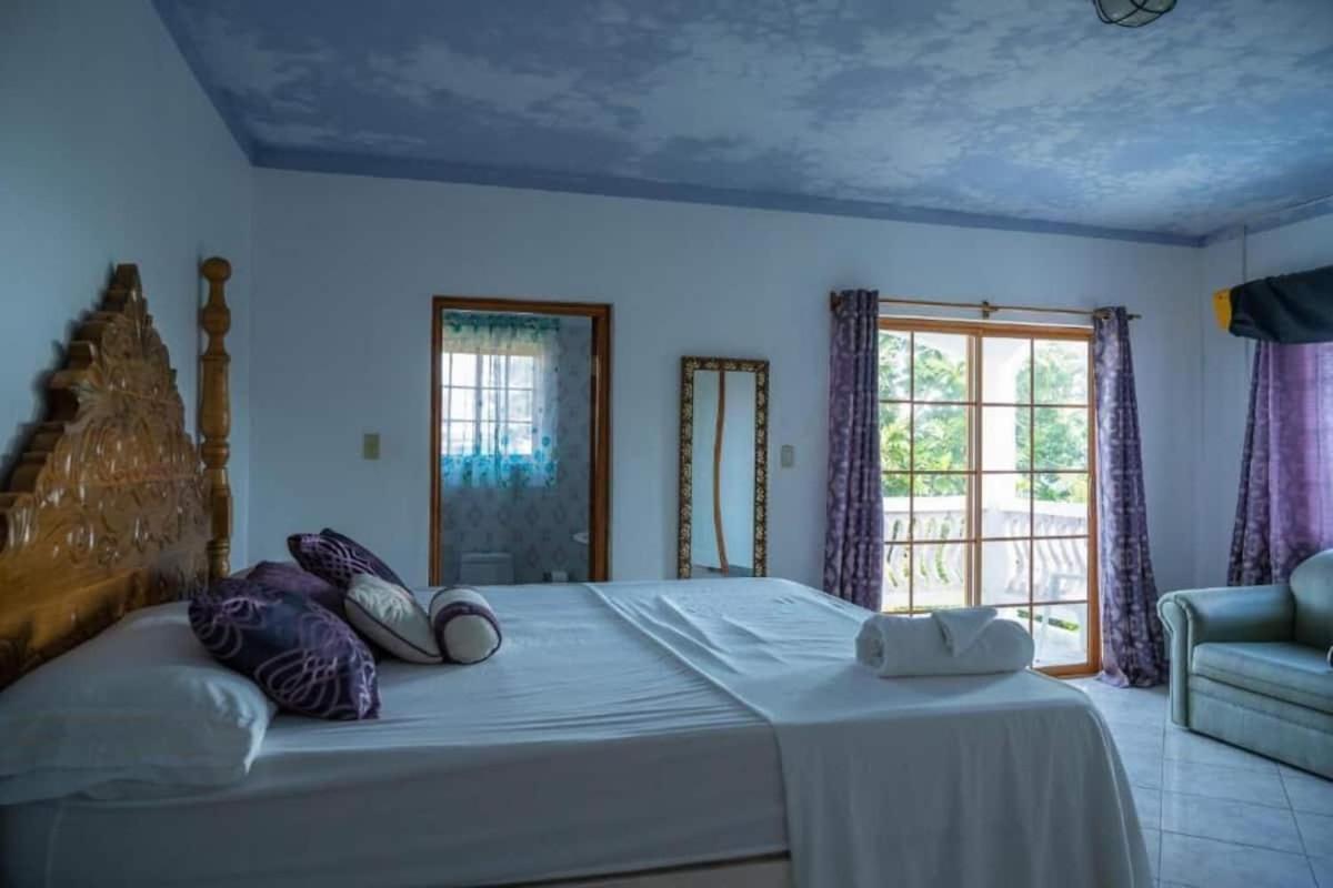 Sweetsop Jamaica Villa And Tours 蒙特哥贝 外观 照片