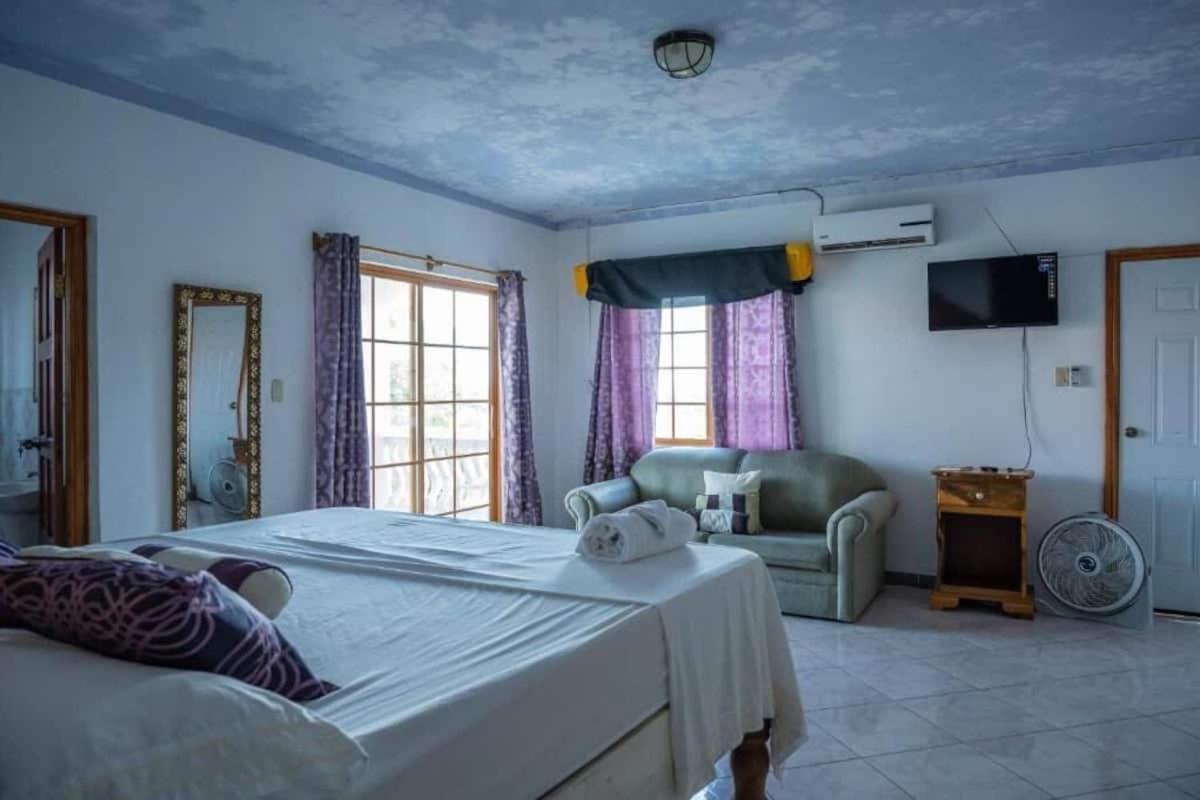 Sweetsop Jamaica Villa And Tours 蒙特哥贝 外观 照片